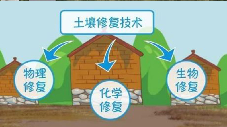 国内示范学校食堂食品安全解决方案